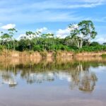 Guaviare, Caquetá y Amazonas, destinos emergentes con mayor crecimiento en la llegada de visitantes extranjeros